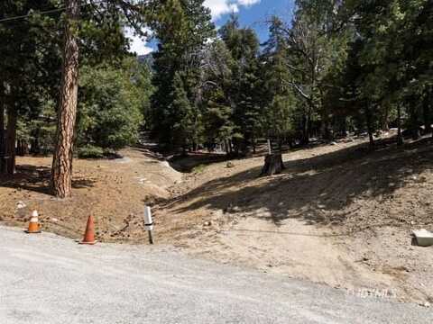 Forest Drive, Idyllwild, CA 92549