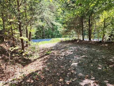 Timber Ridge Rd, Sharps Chapel, TN 37866