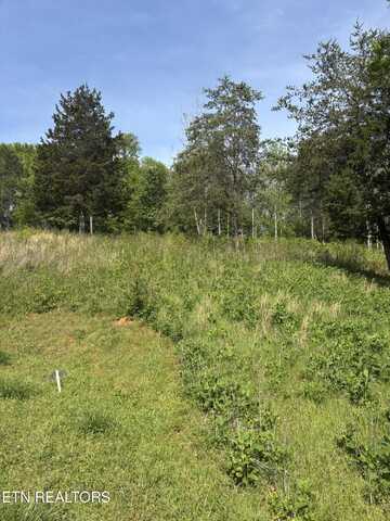 Lot 57&58 Docks of the Bay Drive, Harriman, TN 37748