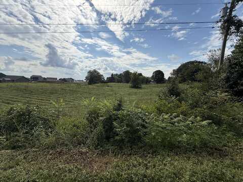 Lot 50 Vista Drive, Talbott, TN 37877