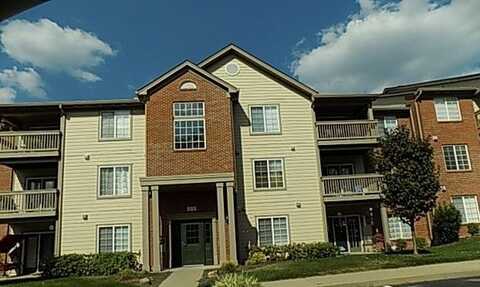 600 Vincent Way unit: 3306, Lexington, KY 40503
