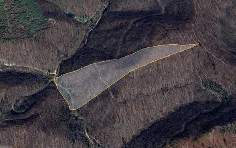 Emily Creek Road, Pilgrim, KY 41250