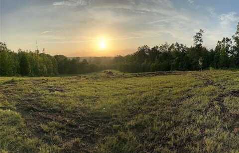 192 WHITETAIL ROAD, SEALE, AL 36875