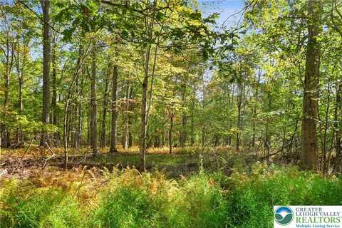 Spring Run Lane lot: 17, Price Twp, PA 18326