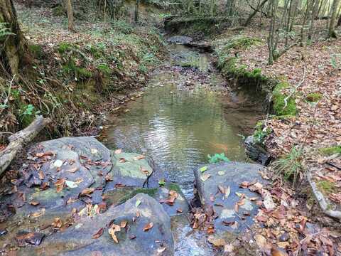 00 64, Olivehill, TN 38475
