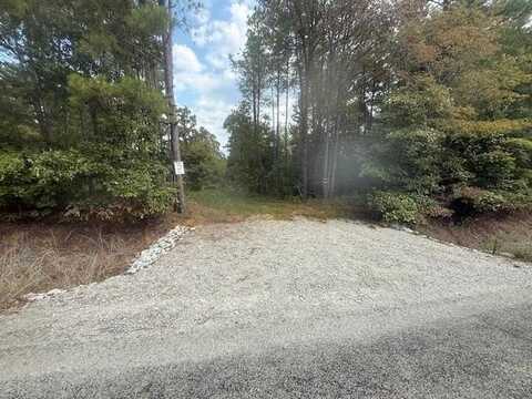 TRACT 2 BUTLER, Pinson, TN 38366