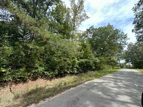 TRACT 7 BUTLER, Pinson, TN 38366