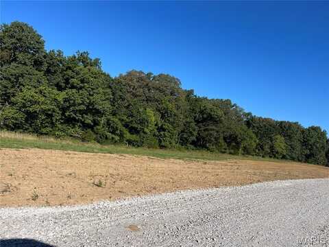 Lot 39 HOLT FARMS Drive, Wentzville, MO 63385