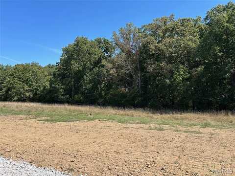 Lot 38 HOLT FARMS Court, Wentzville, MO 63385