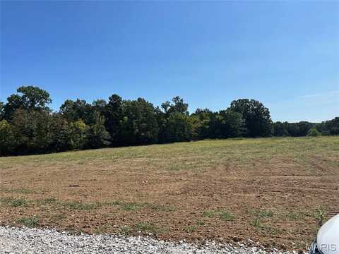 Lot 26 HOLT SUMMIT Court, Wentzville, MO 63385