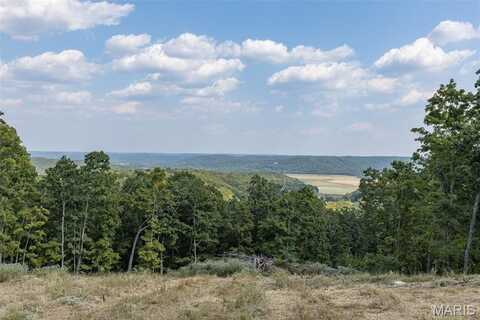 4264 Cinque Terre, House Springs, MO 63051