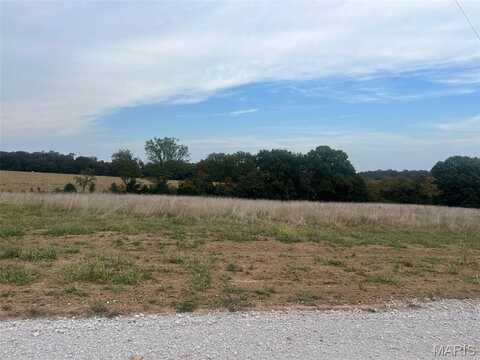 Lot 30 HOLT Farms Drive, Wentzville, MO 63385
