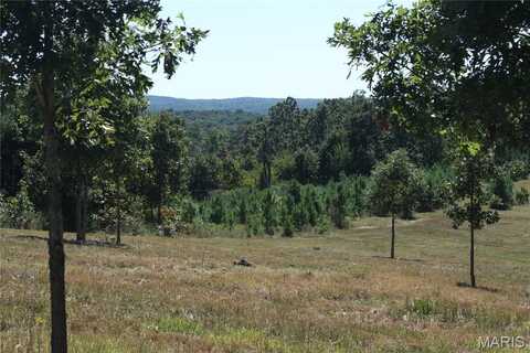 0 Old Jefferson City Road, Potosi, MO 63664