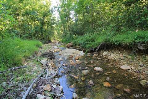0 Madison CR 410 (113), Fredericktown, MO 63645