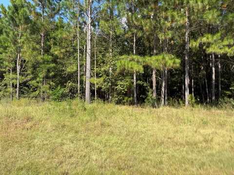 WADE RD, Pelham, GA 31779