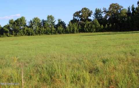 00 Chapel Hill Subdivision, Holly Springs, MS 38635