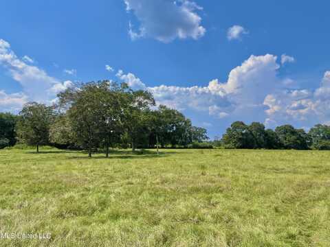 Thomas School Road, Lumberton, MS 39455