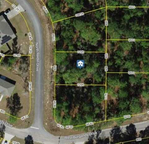 8753 N RAIDIN DRIVE, CITRUS SPRINGS, FL 34433