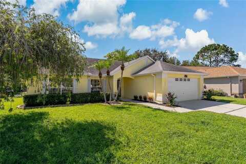 4125 MC CLUNG DRIVE, NEW PORT RICHEY, FL 34653