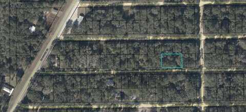 NE 472ND AVENUE, OLD TOWN, FL 32680