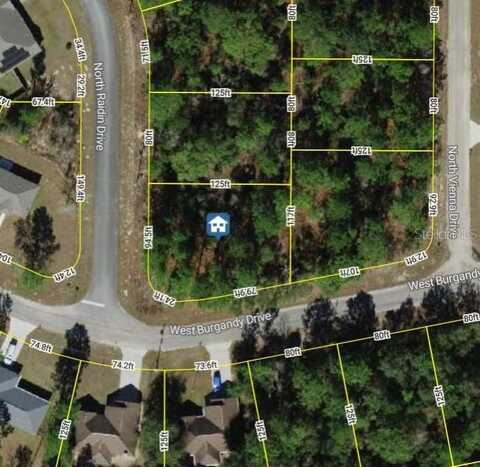 8737 N RAIDIN DRIVE, CITRUS SPRINGS, FL 34433
