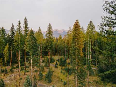 NHN Styler Drive, Condon, MT 59826