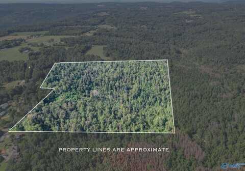 35 Acres Pine Ridge Road, Union Grove, AL 35175