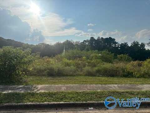 6603 Amberlee Lane, Huntsville, AL 35810