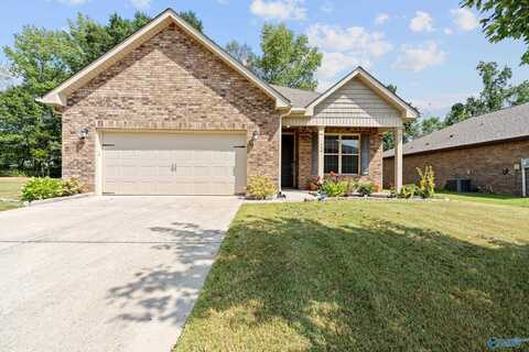 140 Summer Pointe Lane, Madison, AL 35757
