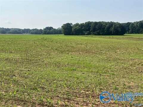 Tract 1 Old Railroad Bed Road, Harvest, AL 35749