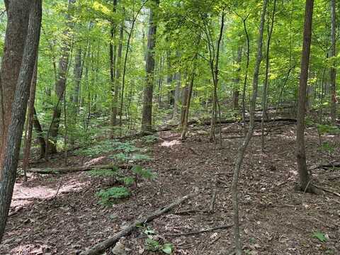Lt J351 Mountain View Court, Ellijay, GA 30536