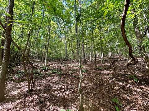 Yonah View Drive, Cleveland, GA 30528