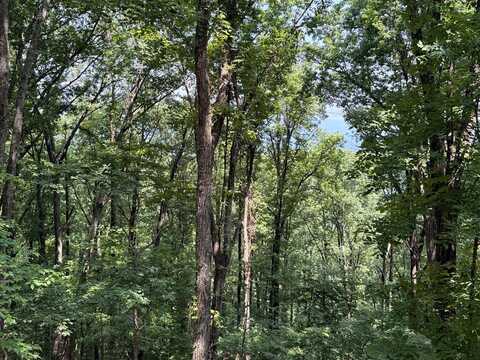 Lt M177 Walnut Ridge, Ellijay, GA 30536