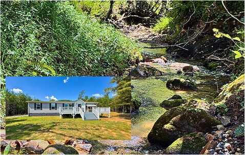 95 Chilson Drive, Warne, NC 28909
