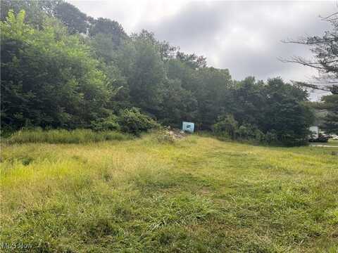 103 Horeshoe Alley, Adena, OH 43901