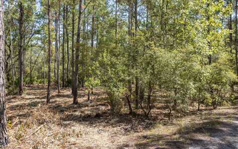TBD SE 194TH LN., White Springs, FL 32096