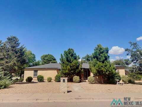 712 W Mann Avenue, Artesia, NM 88210
