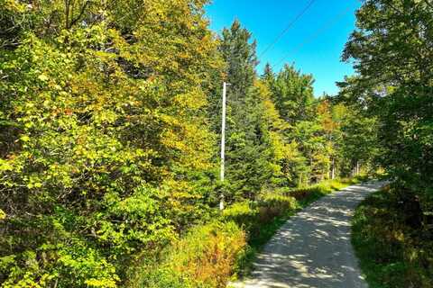 00 Old Weston Mountain Road, Ludlow, VT 05149
