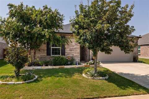 9917 Dolerite Drive, Fort Worth, TX 76131