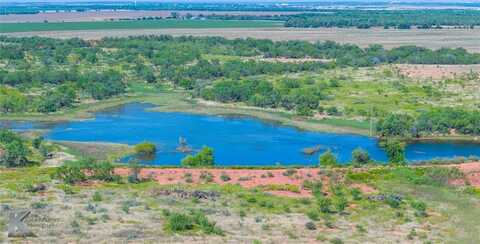 Tbd 80 Ac FM 1235, Abilene, TX 79606
