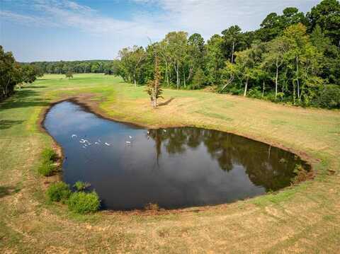 1323 An County Road 153, Palestine, TX 75801