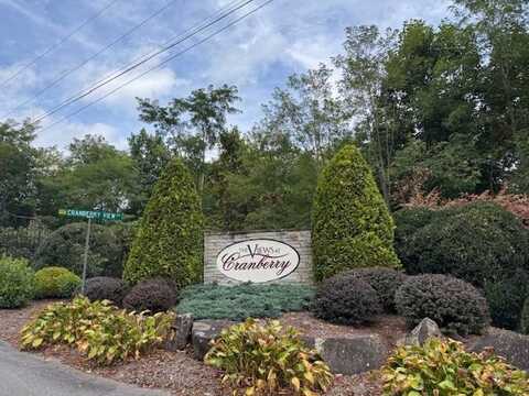tbd Jewel Weed Trail, Newland, NC 28657