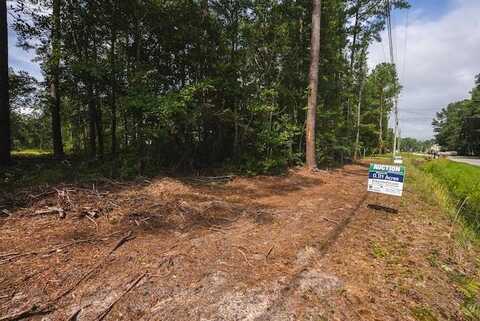 Lot 2 NC Hwy 53, Elizabethtown, NC 28337