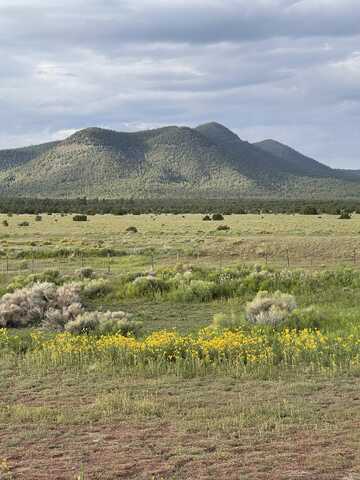 165 Reid Road, Datil, NM 87821