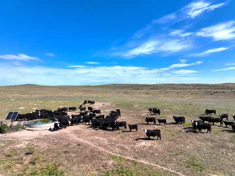 0 314 Avenue, Haigler, NE 69030
