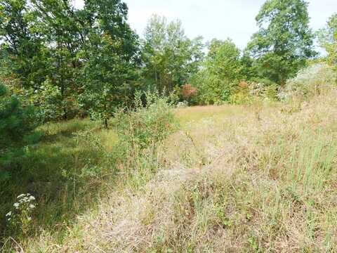 000 Paxton Ridge Road, Walton, WV 25286