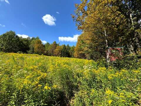 1.2 Graham Rd, Otselic, NY 13464
