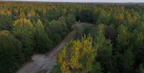 0 Blue Lake Road, Perkinston, MS 39573