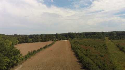 Swamp Road, Wade, NC 28395