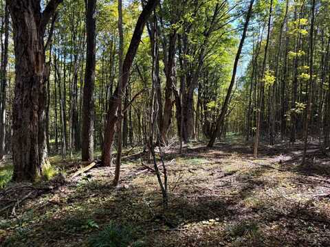 1.5 Graham Rd, Otselic, NY 13464